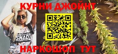 прущие грибы Камышлов