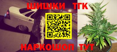 прущие грибы Камышлов