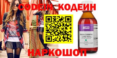 прущие грибы Камышлов