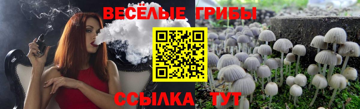 Галлюциногенные грибы Magic Shrooms Кострома